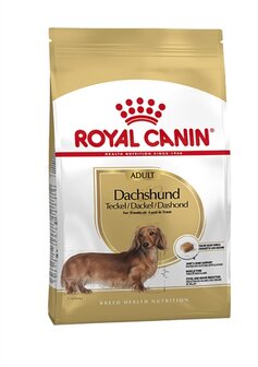 Royal canin dachshund / teckel adult