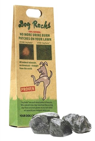 Dog rocks