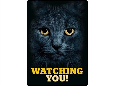Plenty gifts waakbord blik zwarte kat watching you Plenty gifts waakbord blik zwarte kat watching you