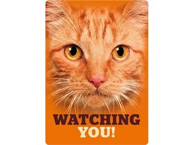 Plenty gifts waakbord blik rode kat watching you Plenty gifts waakbord blik rode kat watching you