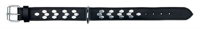 Trixie halsband hond active leer met applicaties zwart Trixie halsband hond active leer met applicaties zwart